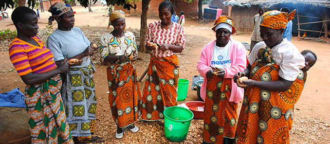 Six Women from Mwandama Village, Malawi prepare Orange Fleshed Sweet Potato.