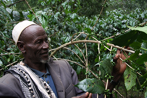 An Ethiopian farmer with his crop